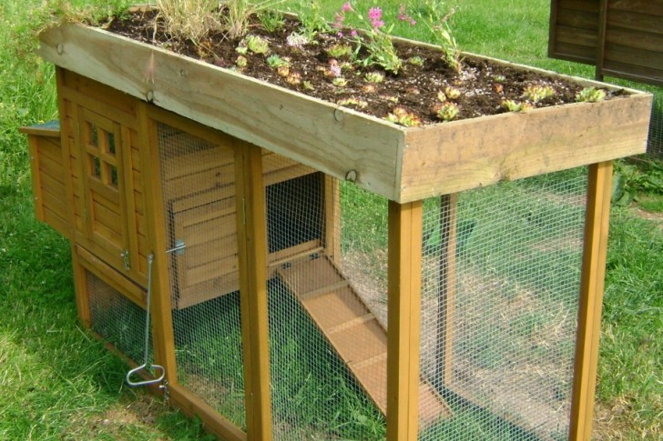 Living Roof Coop